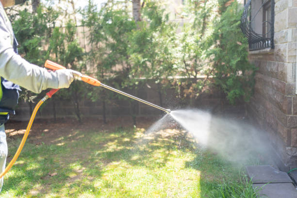 Best Best Pest Control Companies  in Tsaile, AZ