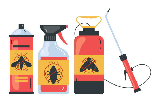 Best Exterminator Services  in Tsaile, AZ